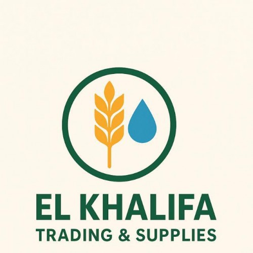 بن الخليفه